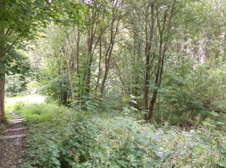 Prodej - pozemek, ostatní, 1 755 m²