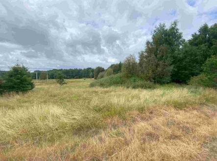 Prodej - pozemek, ostatní, 2 675 m²