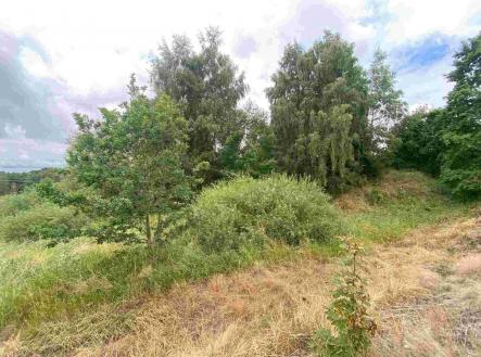 Prodej - pozemek, ostatní, 2 675 m²