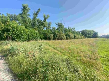 Prodej - pozemek pro bydlení, 2 722 m²