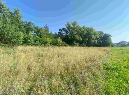 Prodej - pozemek pro bydlení, 2 722 m²