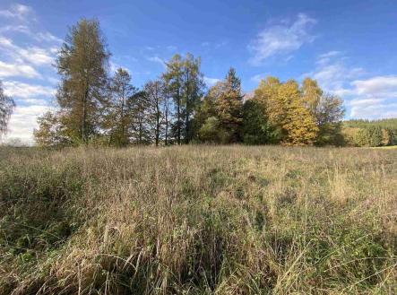 Prodej - pozemek pro bydlení, 3 207 m² obrázek