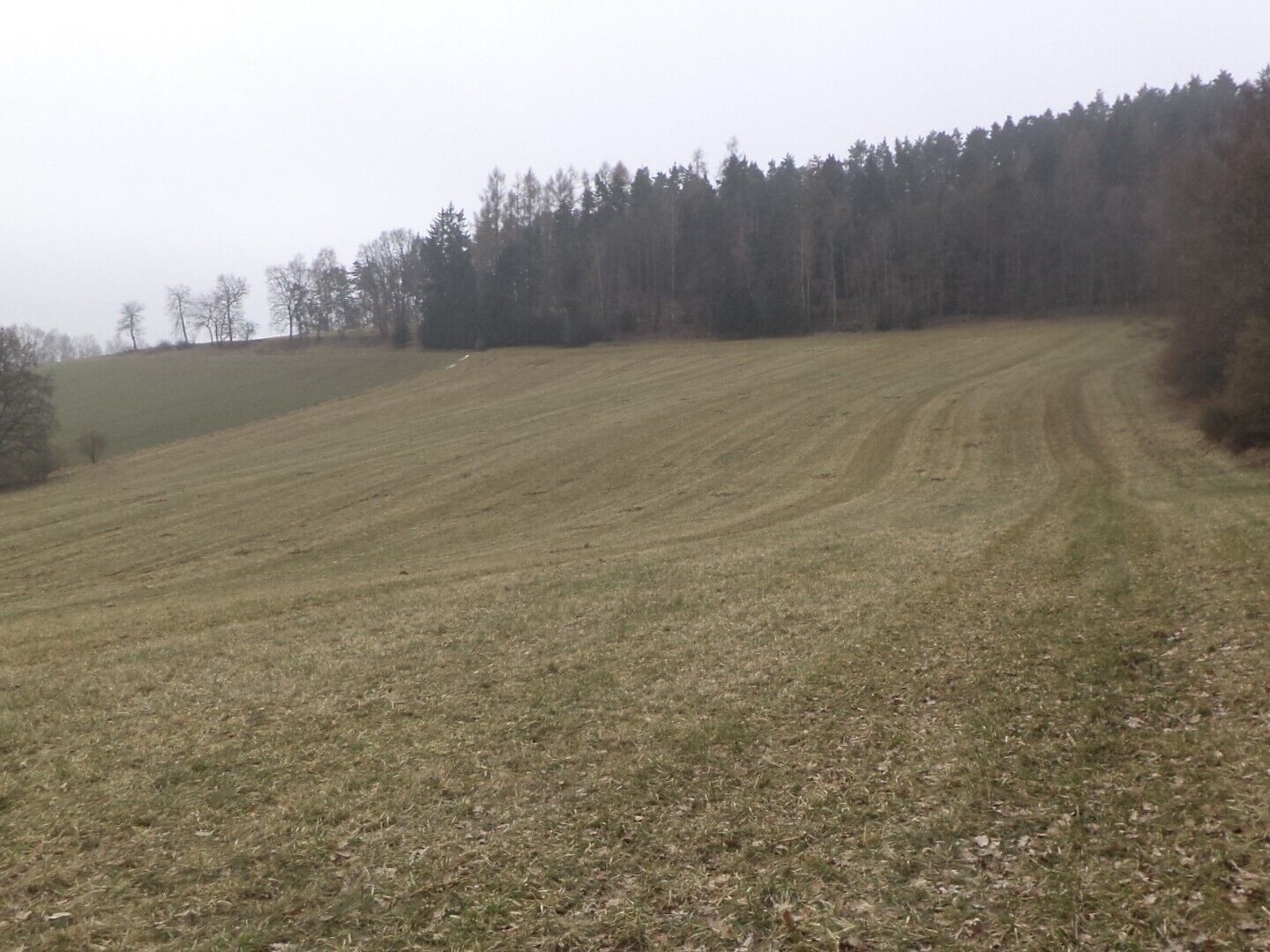 DRAŽBA pozemků  Bořkovice