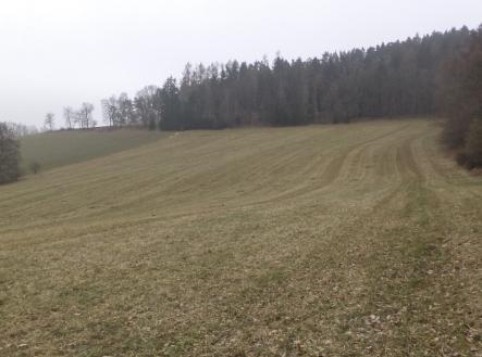 Prodej - pozemek, zemědělská půda, 22 738 m²
