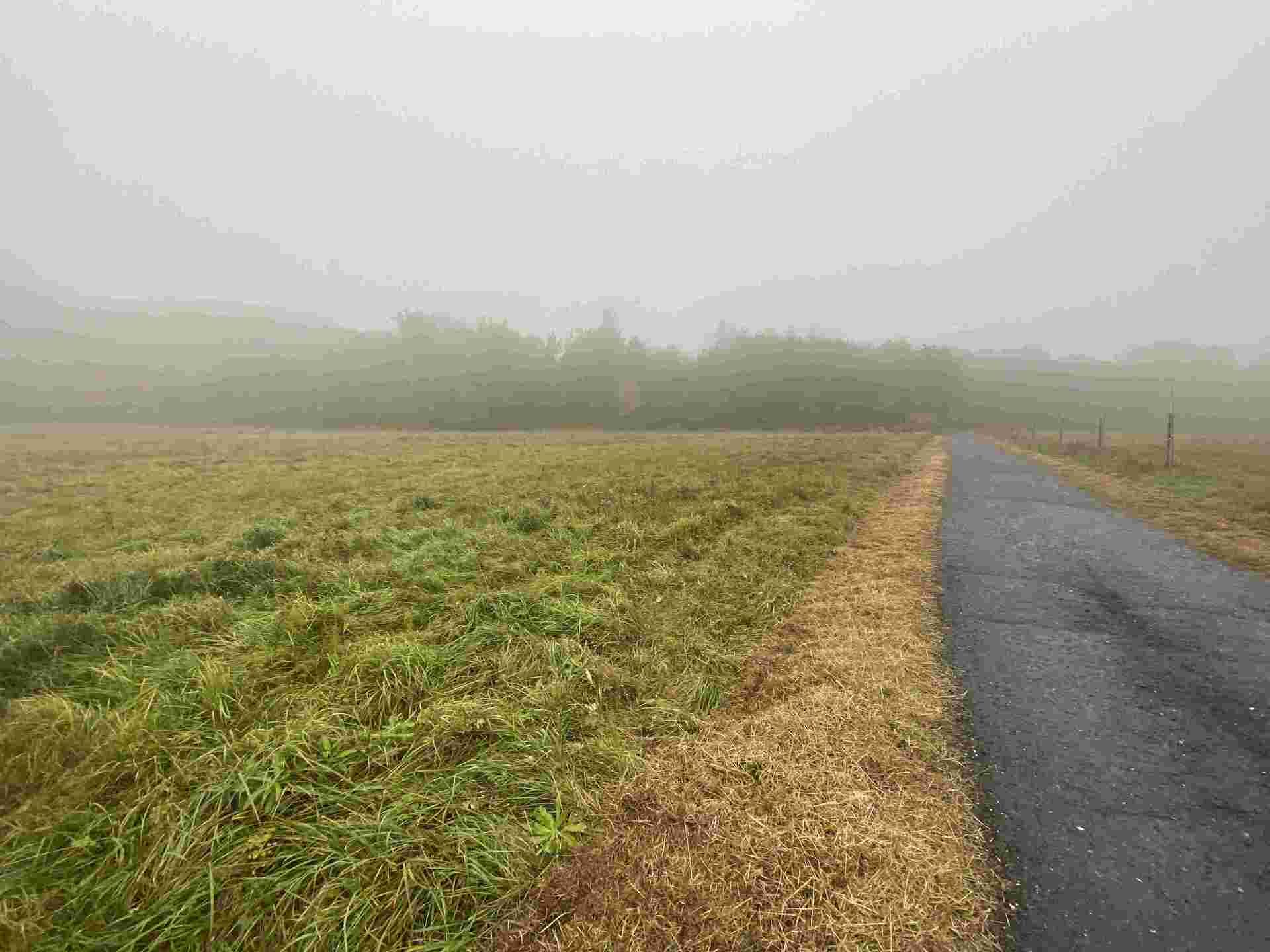 prodej pozemku k.ú. Verneřice