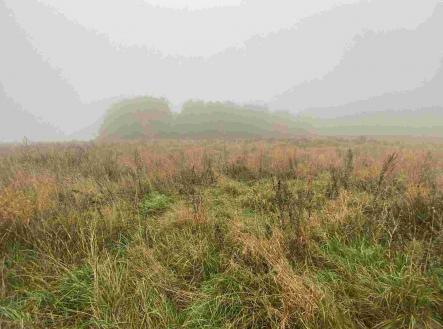 Prodej - pozemek, zemědělská půda, 22 839 m²