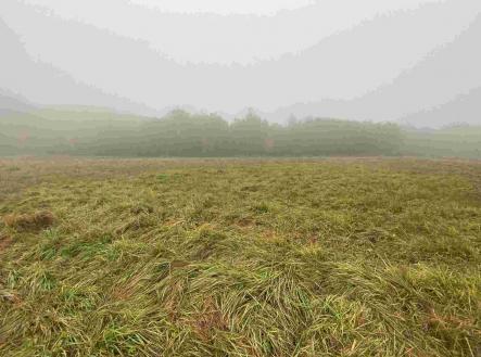 Prodej - pozemek, zemědělská půda, 22 839 m²