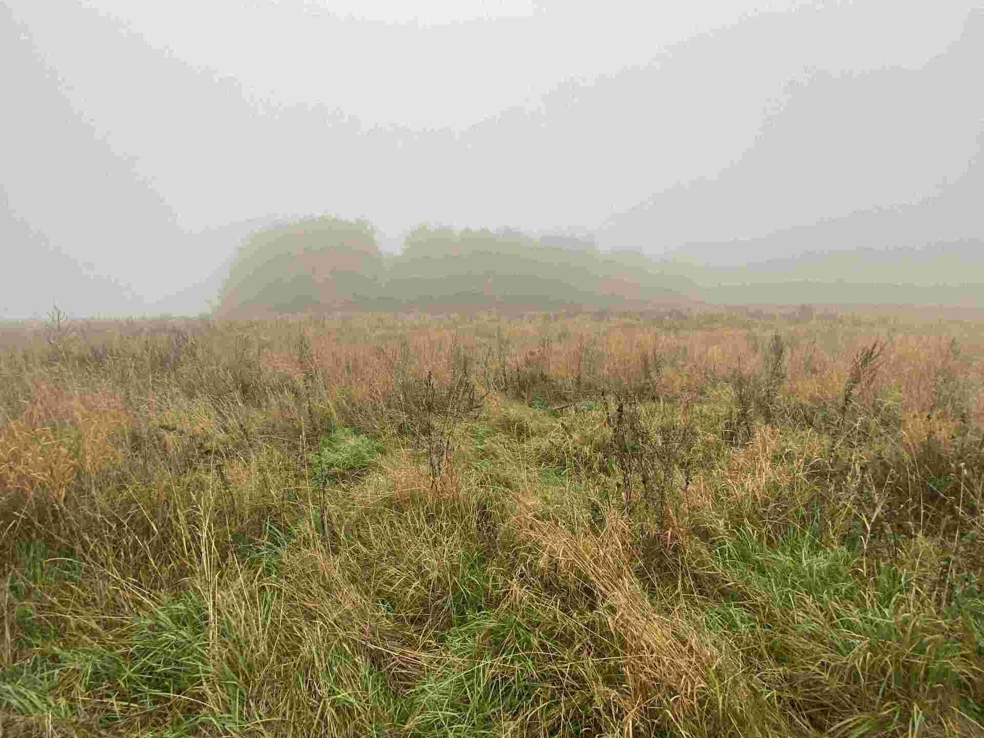 prodej pozemku Verneřice