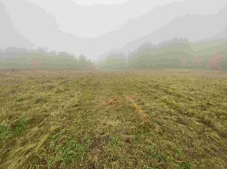 Prodej - pozemek, zemědělská půda, 22 839 m²