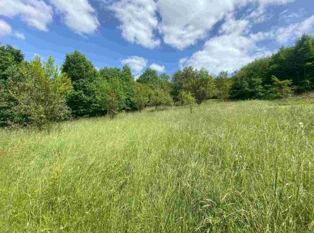 Prodej - pozemek pro bydlení, 2 790 m²