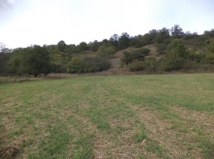 Prodej - pozemek, zemědělská půda, 22 441 m²