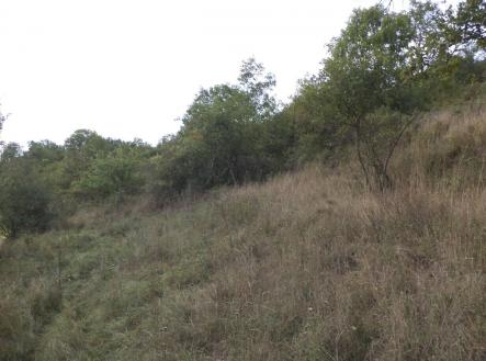 Prodej - pozemek, zemědělská půda, 22 441 m²