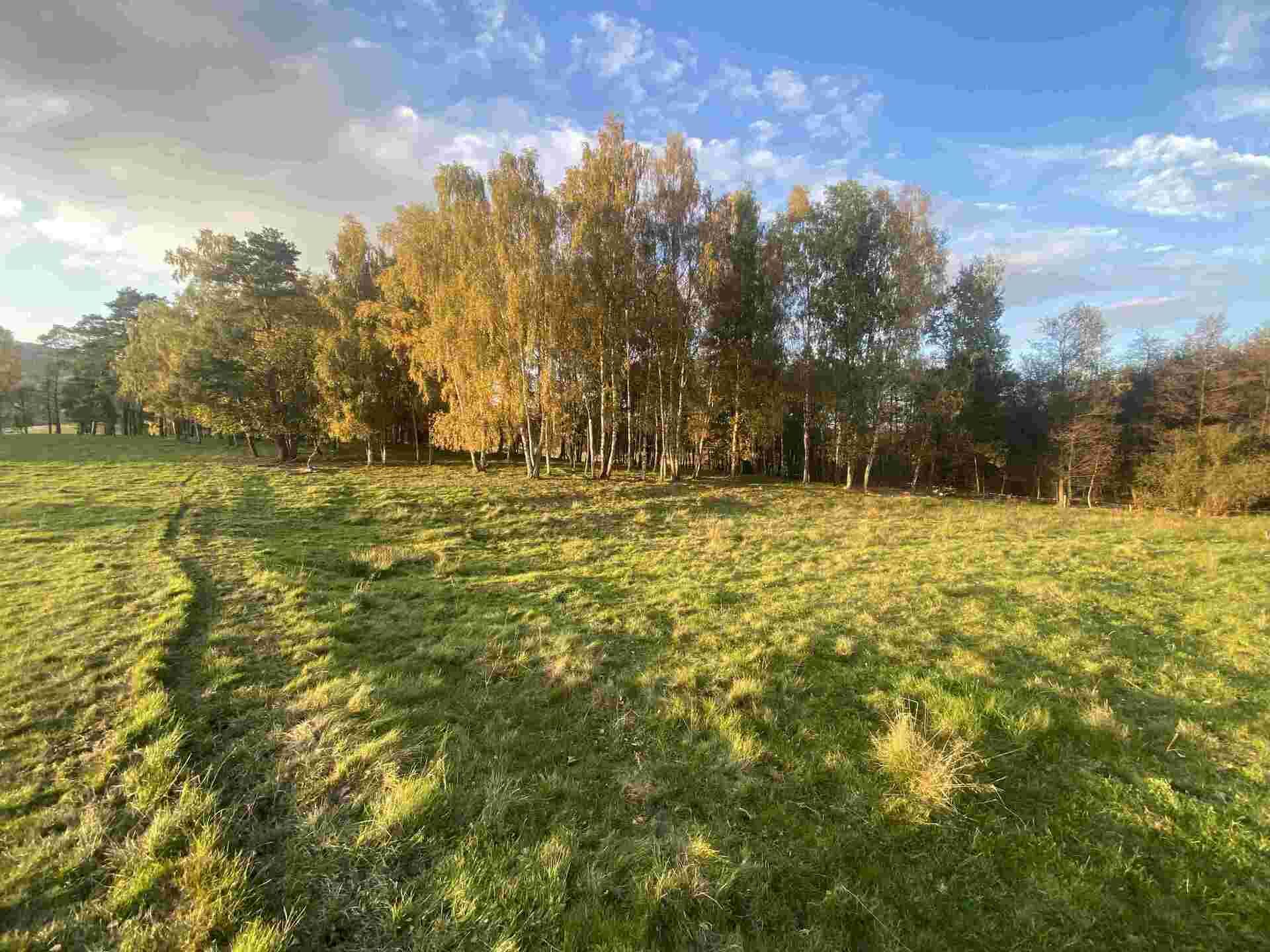 prodej pozemků k.ú. Trávník u Cvikova