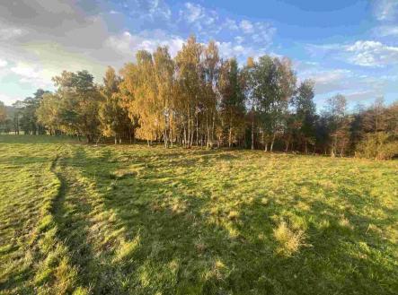 Prodej - pozemek, zemědělská půda, 16 894 m²