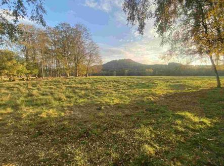 Prodej - pozemek, zemědělská půda, 16 894 m²