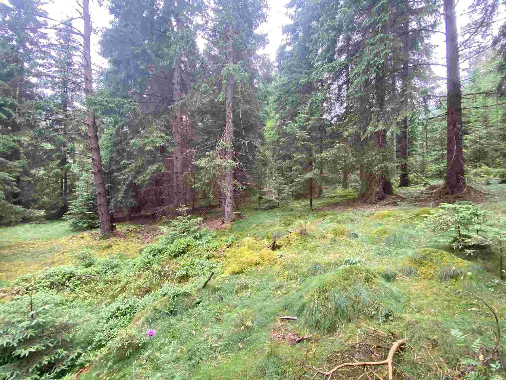 prodej pozemků k.ú. Újezd u Krásné