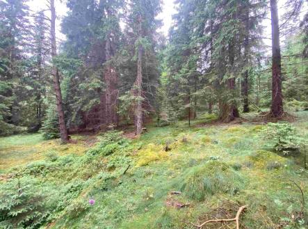Prodej - pozemek, zemědělská půda, 11 900 m²