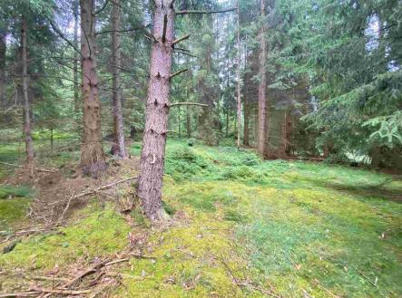 Prodej - pozemek, zemědělská půda, 11 900 m²