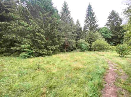 Prodej - pozemek, zemědělská půda, 11 900 m²
