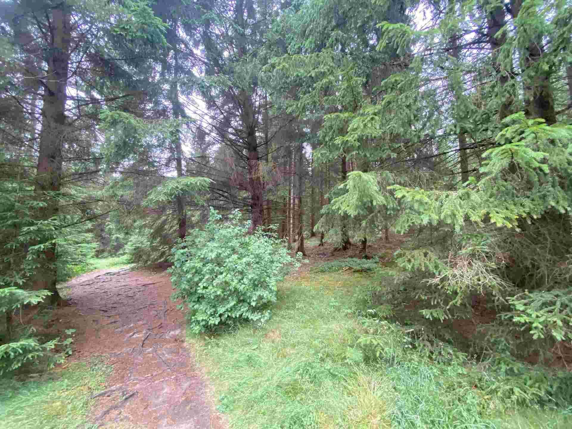 prodej pozemku Újezd u Krásné