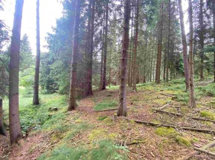 Prodej - pozemek, zemědělská půda, 1 440 m²