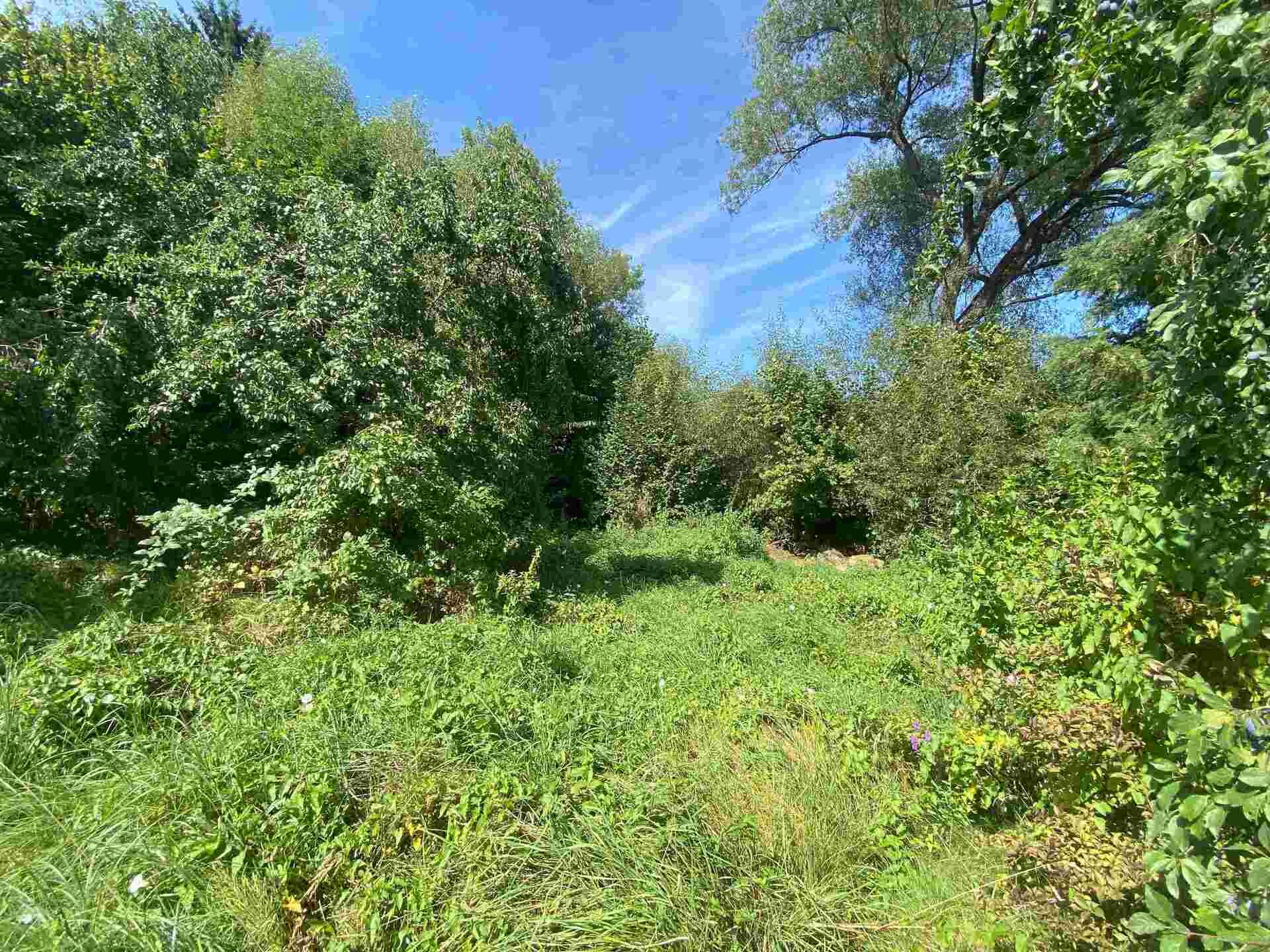 Prodej pozemku Bedřichov u Horní Stropnice