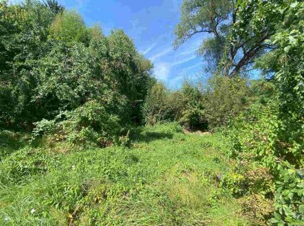 Prodej - pozemek pro bydlení, 2 842 m²