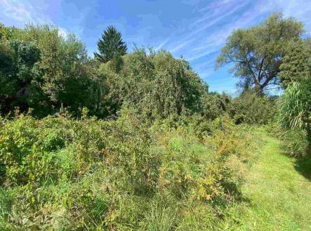 Prodej - pozemek pro bydlení, 2 842 m²