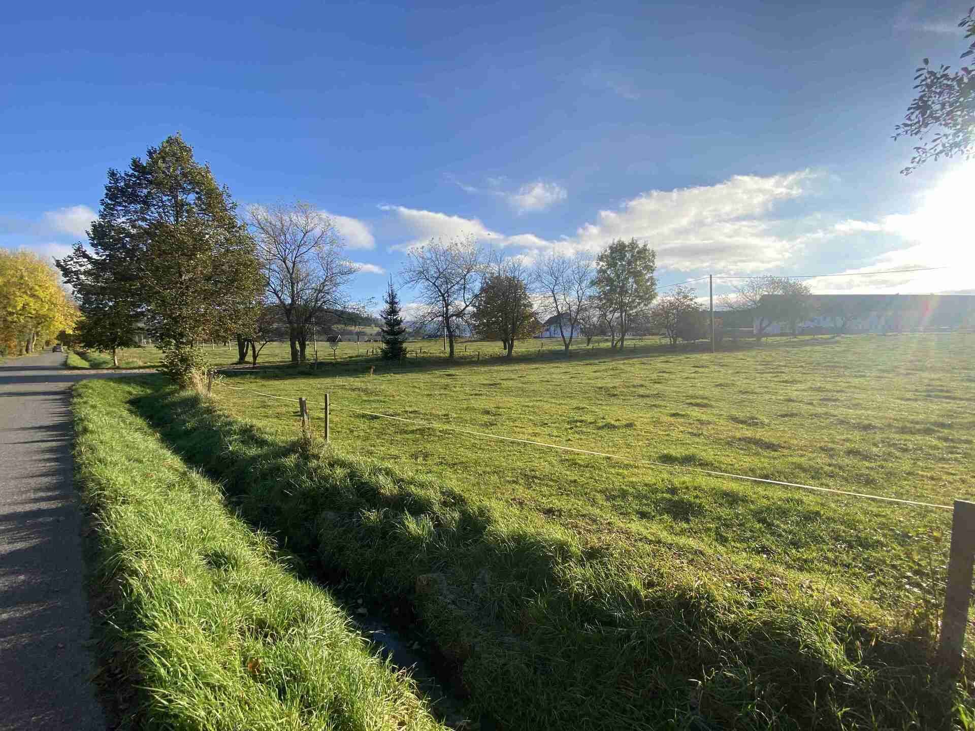 Prodej pozemku Horní Lipka