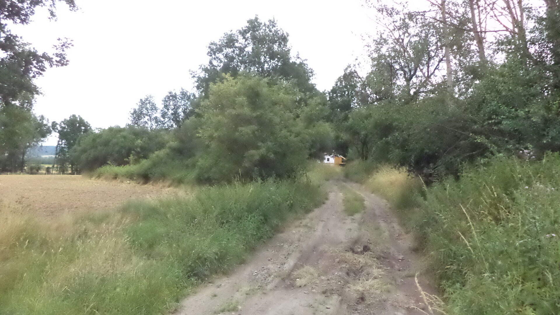 Prodej pozemku Vlkýš