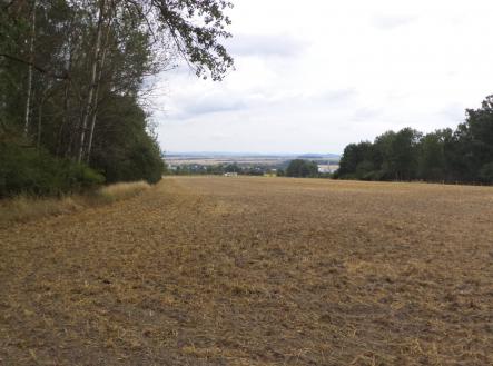 Prodej - pozemek, zahrada, 1 100 m²