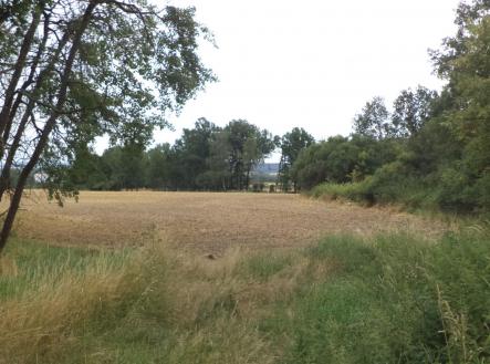 Prodej - pozemek, zahrada, 1 100 m² obrázek