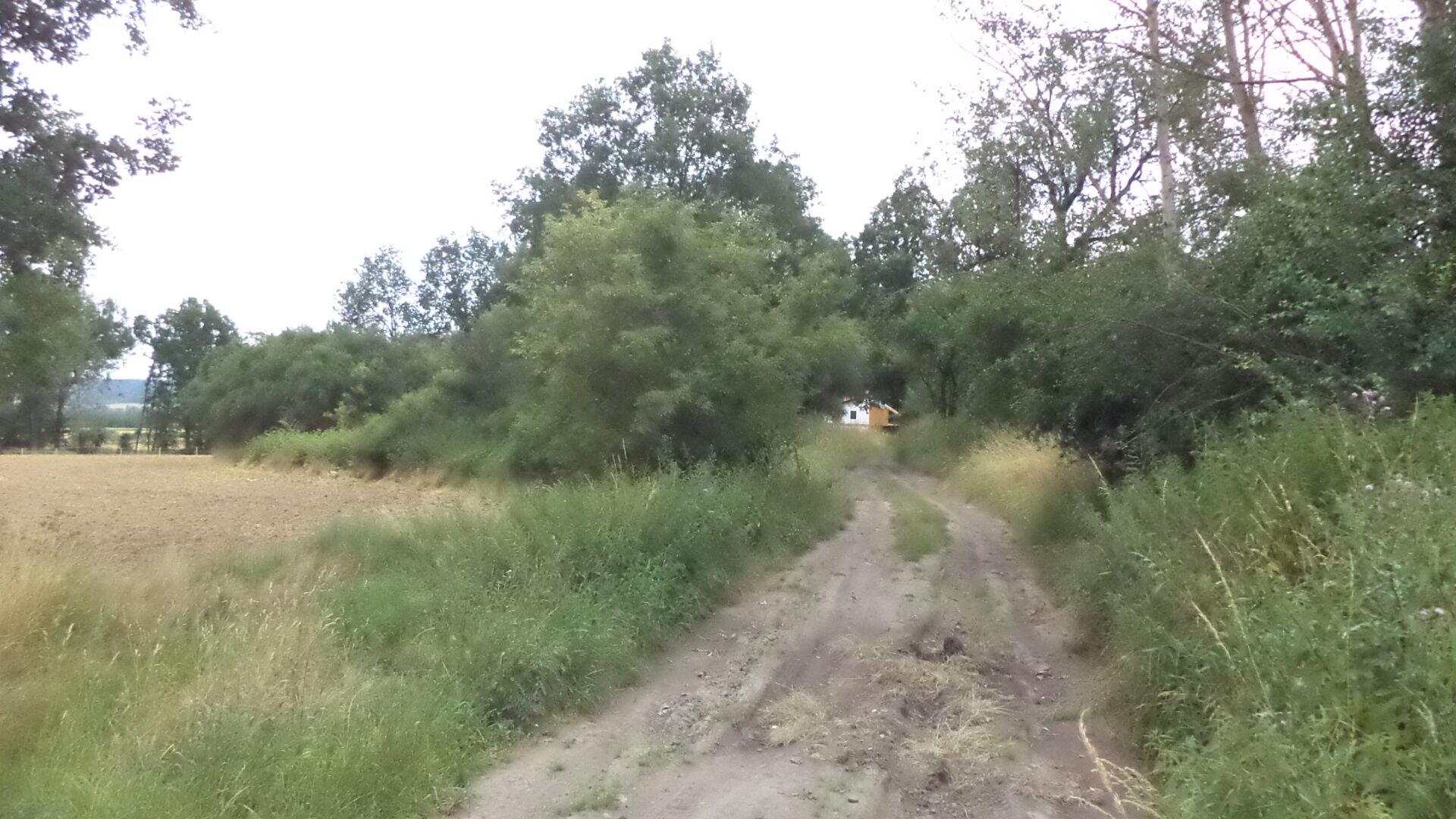 Dražba pozemku Vlkýš