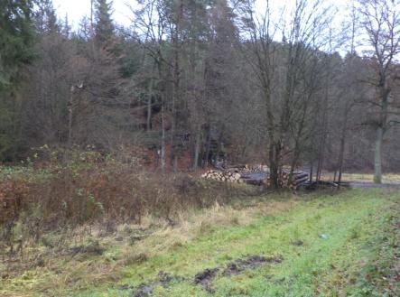 Prodej - pozemek, ostatní, 1 295 m²