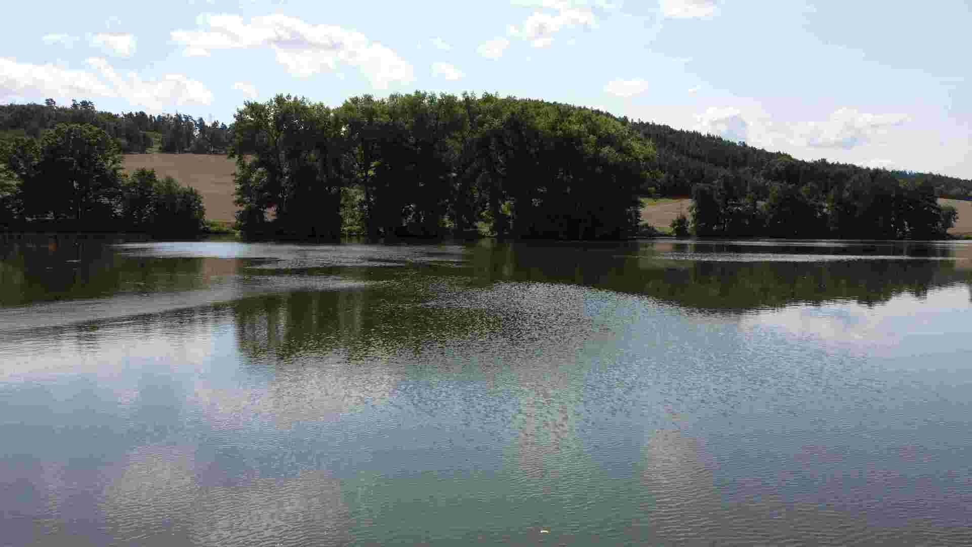 prodej rybníku k.ú. Chocomyšl