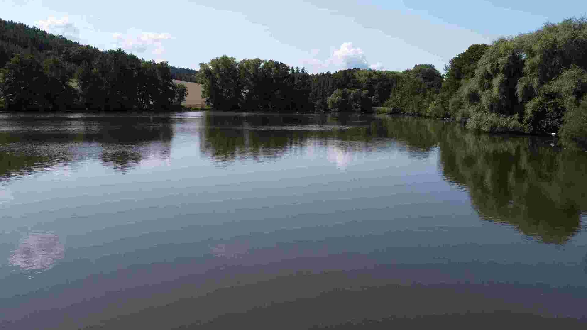 prodej rybníku k.ú. Chocomyšl