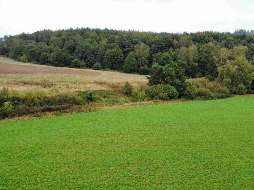 DRAŽBA pozemků Kostelec nad Černými lesy