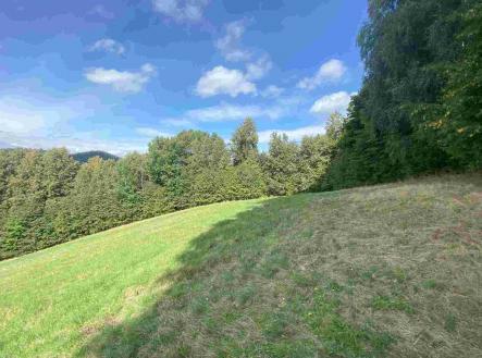 Prodej - pozemek, ostatní, 10 593 m²