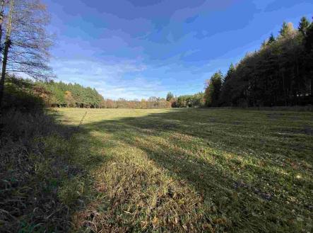 Prodej - pozemek, zemědělská půda, 10 862 m²