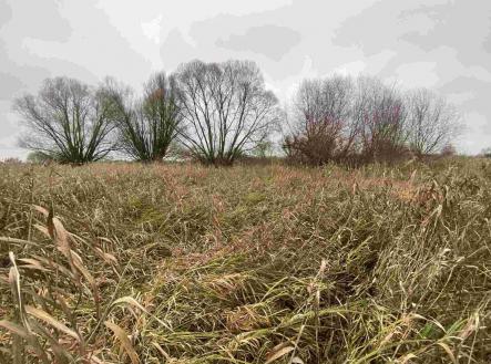 Prodej - pozemek, ostatní, 4 103 m²