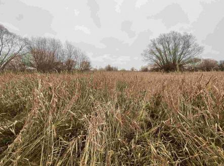 Prodej - pozemek, ostatní, 4 103 m²