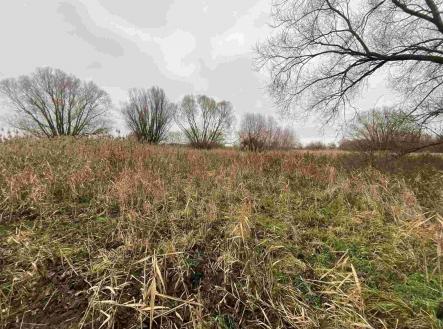 Prodej - pozemek, ostatní, 4 103 m²