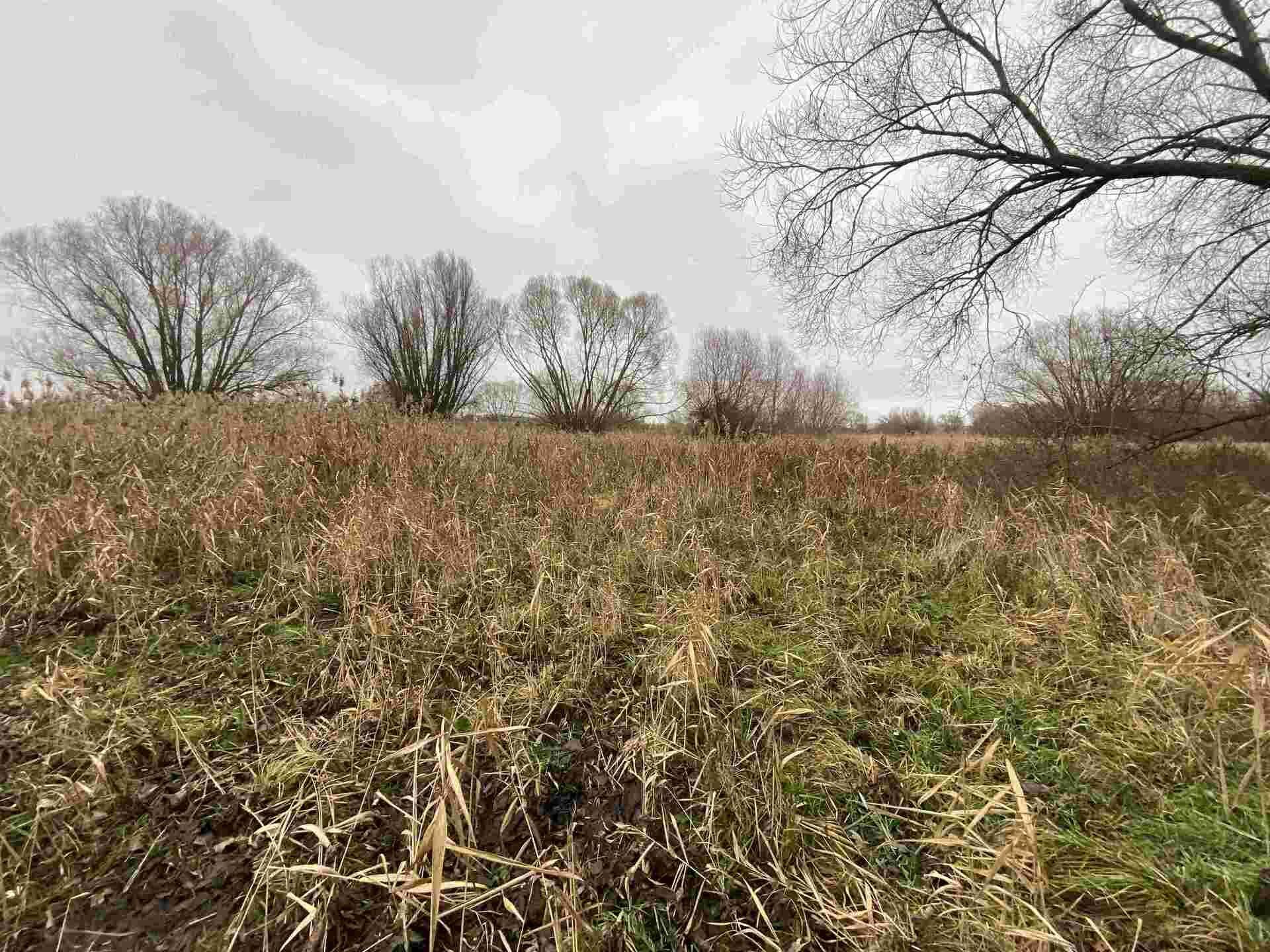 DRAŽBA pozemku Křenovice u Kojetína