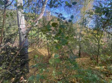 Prodej - pozemek, ostatní, 449 m² obrázek