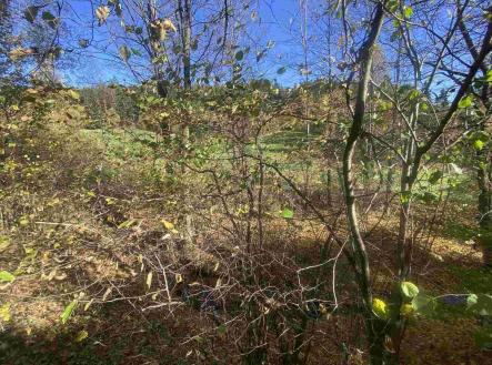 Prodej - pozemek, ostatní, 449 m²