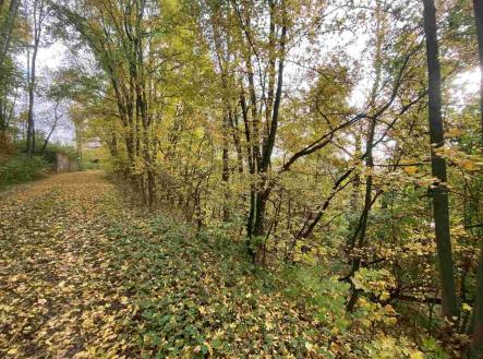 Prodej - pozemek, ostatní, 4 905 m²