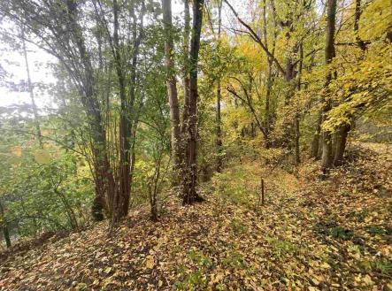 Prodej - pozemek, ostatní, 2 639 m²