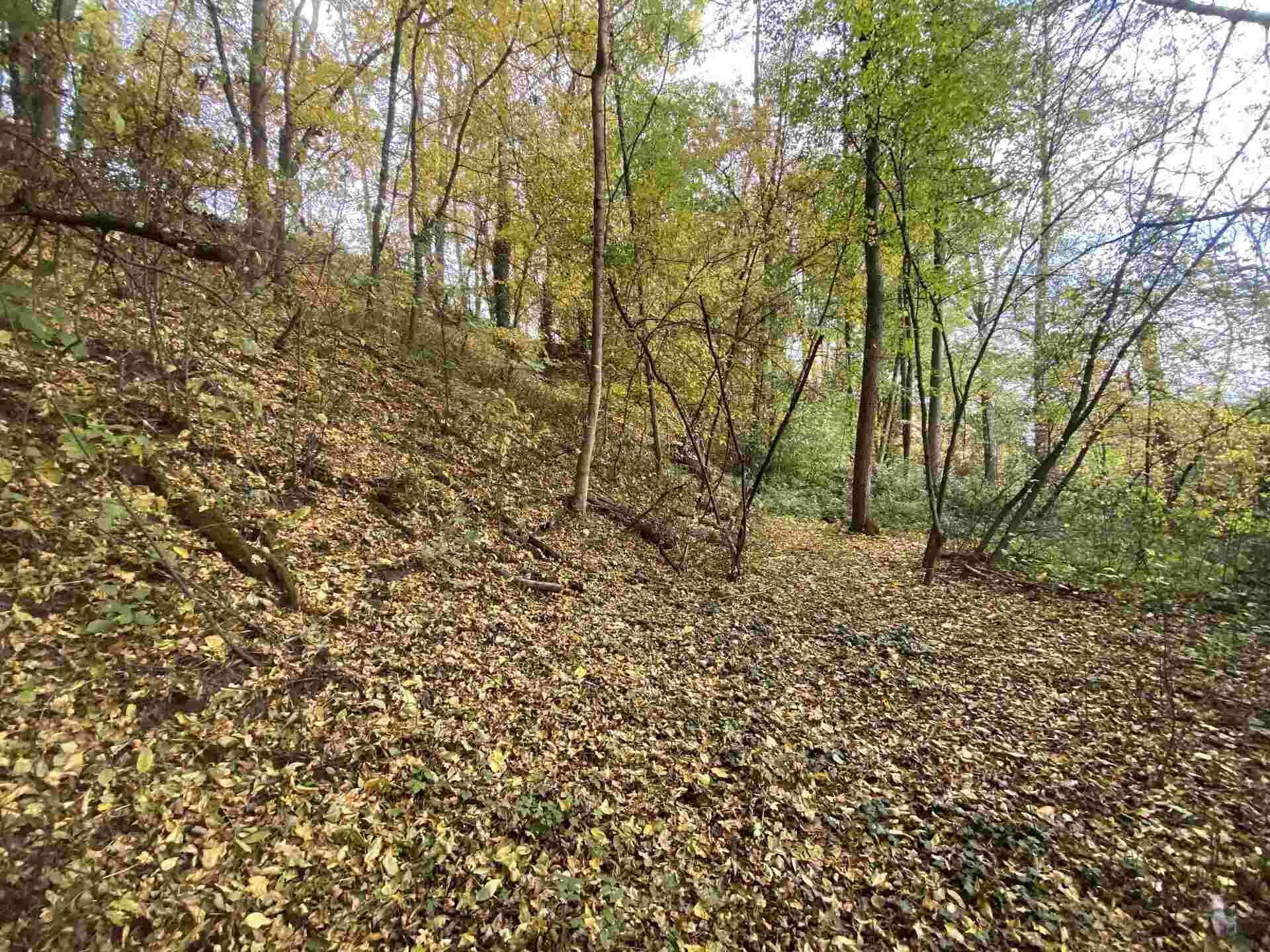 prodej pozemků k.ú. Svijany