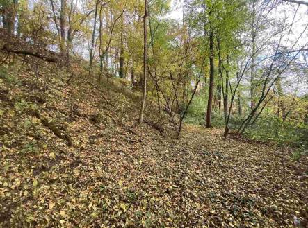 Prodej - pozemek, ostatní, 2 639 m²