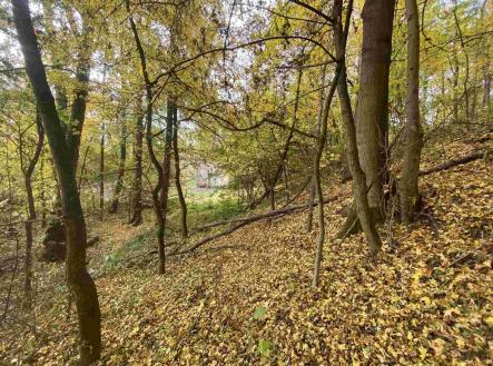 Prodej - pozemek, ostatní, 2 639 m²